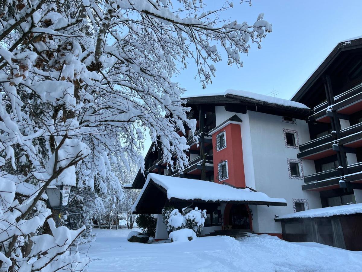 B&B In Seefeld Зефельд-ін-Тіроль Екстер'єр фото